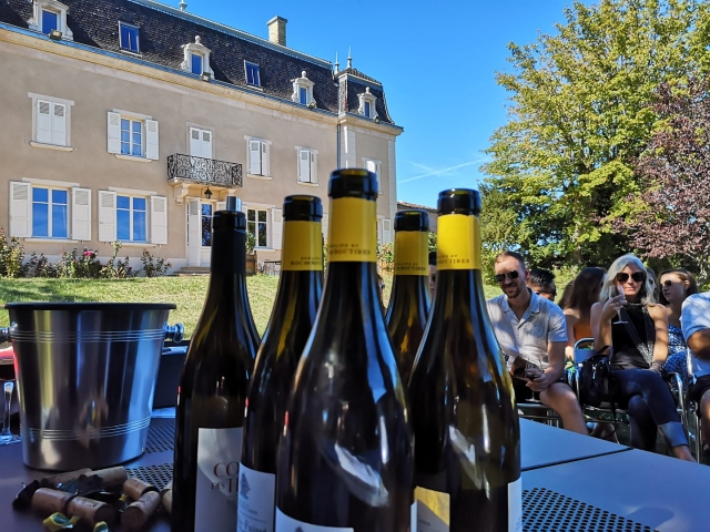  Vino degustación 