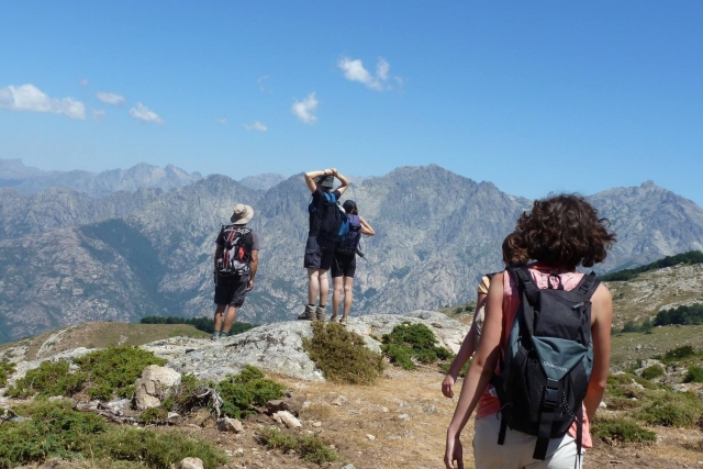  Aventureros en acción 