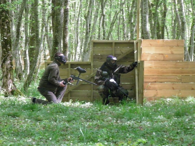  Estrategias puestas en marcha 