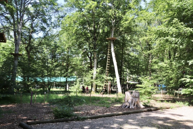  Actividad al aire libre 