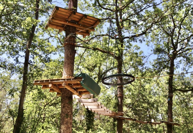  Nuestro curso de escalada de árboles 