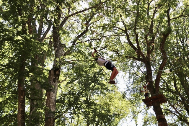  Curso de escalada de árboles 