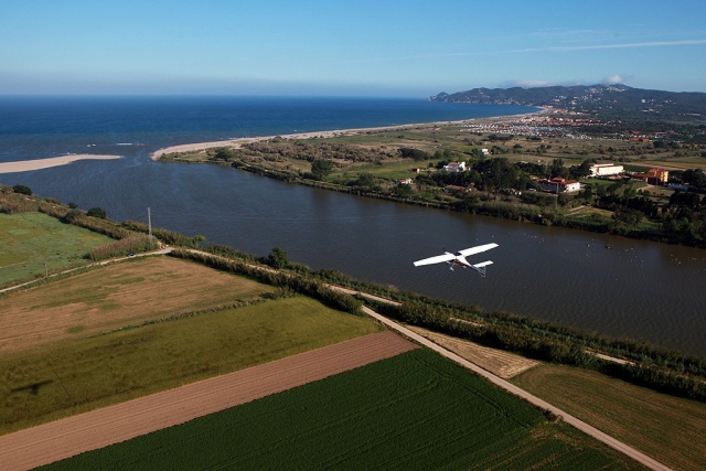  Verde hasta donde alcanza la vista se puede ver 