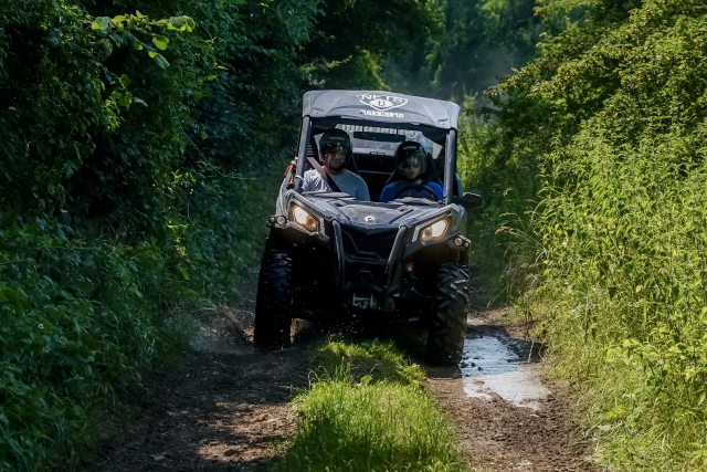  Paseo en buggy por el campo 