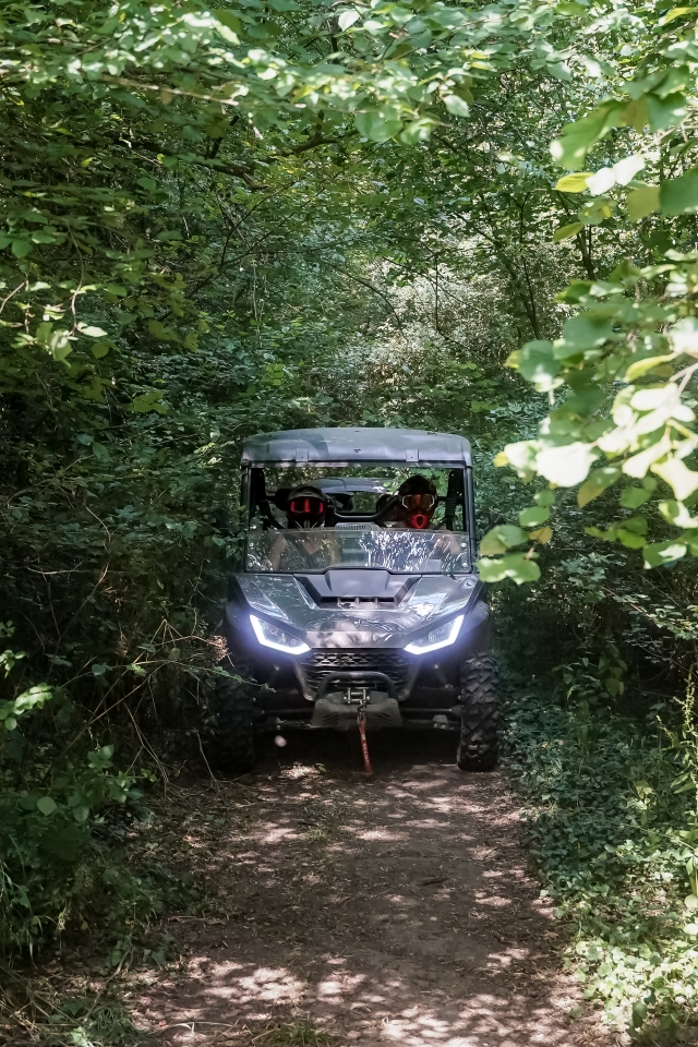  Paseo en buggy por los alrededores de La Ferté-Gaucher 