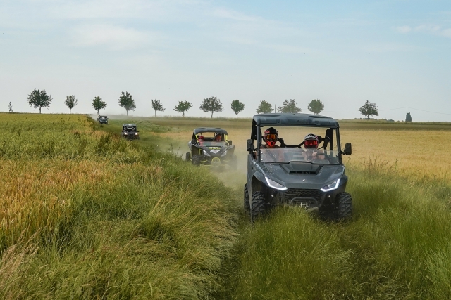  Paseo en buggy 