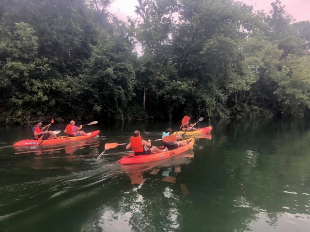  Excursión en kayak en grupo 