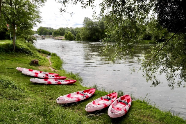 Canoa a la orilla del agua 