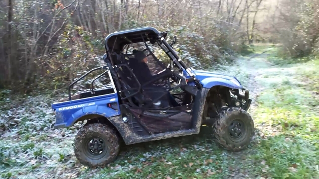  Excursión en buggy 