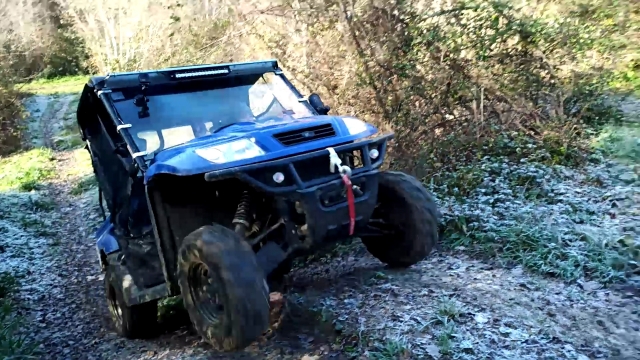  Paseo en buggy 