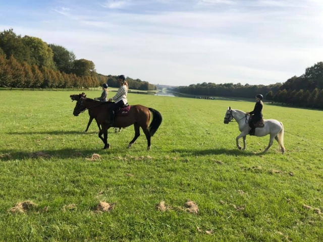  Paseo tranquilo a caballo 