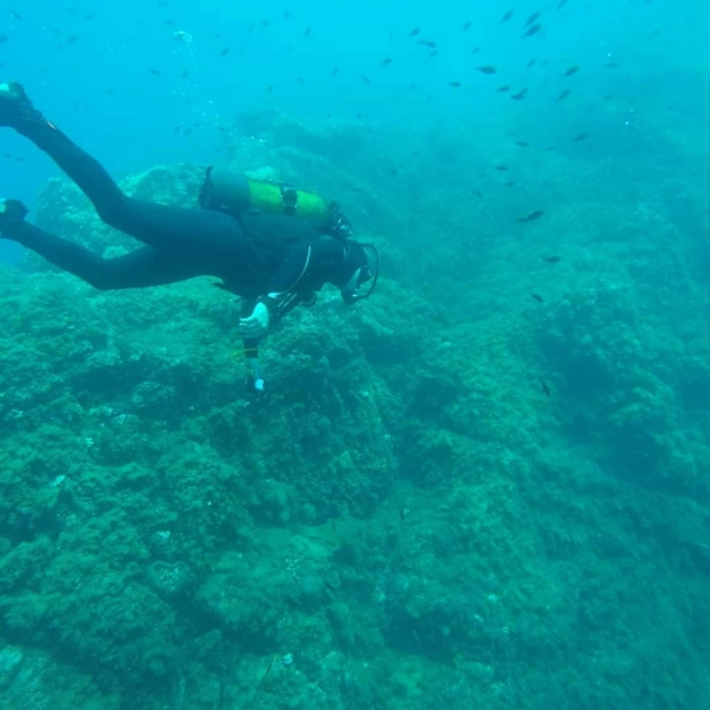  Snorkel en Var 