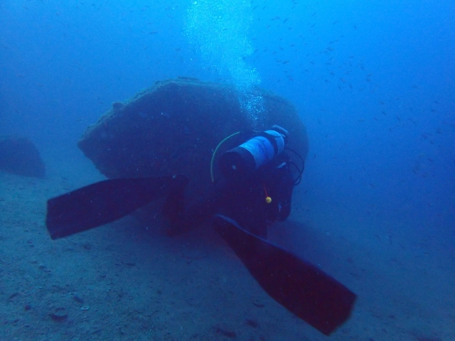  Buceo supervisado 