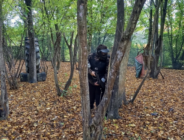  Escondido en el bosque