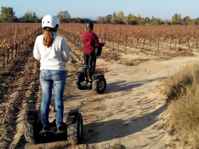  Visita de los viñedos a bordo de un Segway 