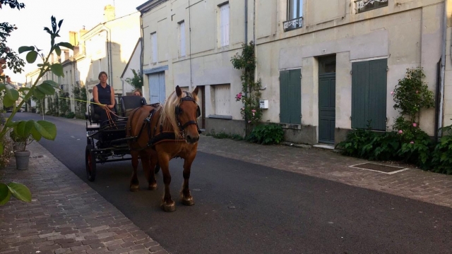 Carro de caballos 