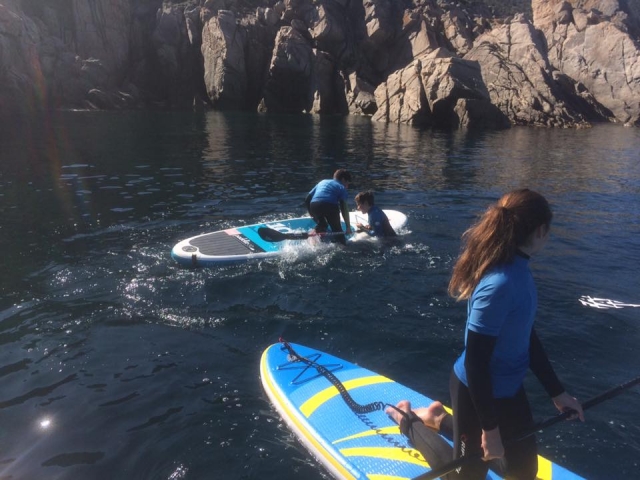 Visita a la Bahía de Cupabia 