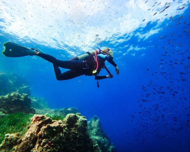  Sesión de snorkel 