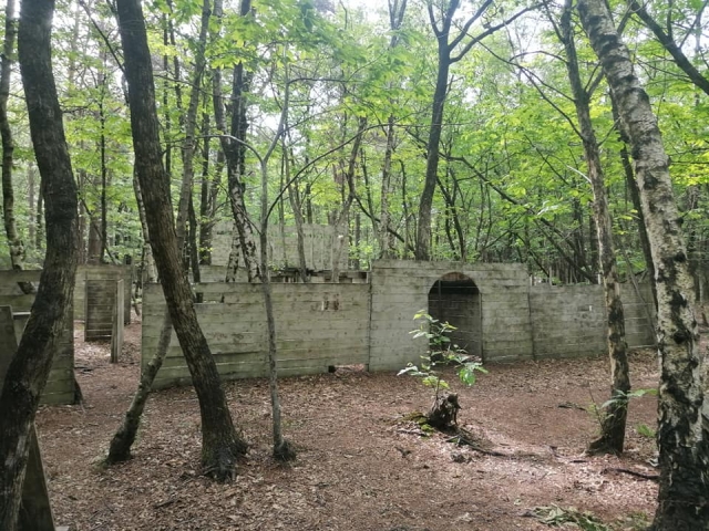  Zona de juegos 