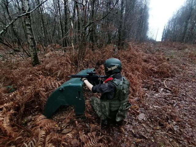 Escóndele en el bosque 