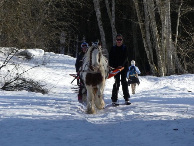 Acompañamiento del instructor 