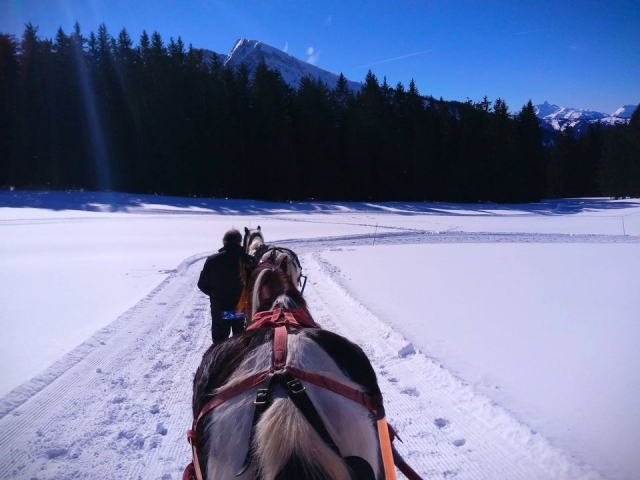  Vista única de los Alpes 