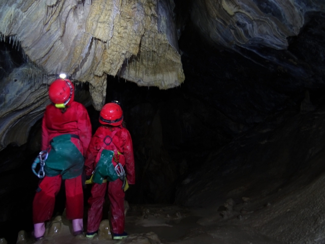  Estalactitas de la Grotle de Balme 