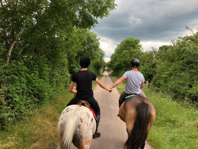  Paseo a caballo hasta Dijon 