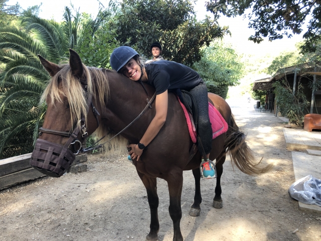  Nuestros caballos se alimentan con amor 