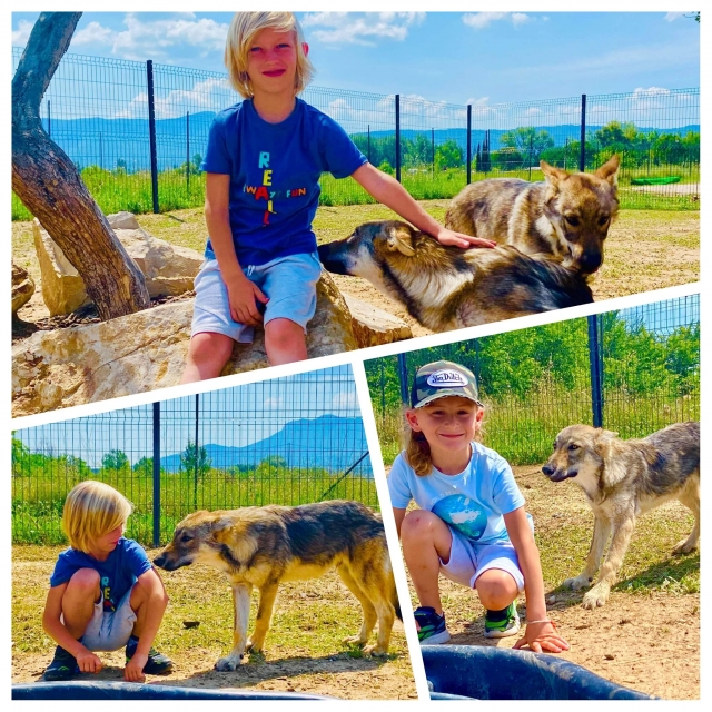  Los niños aman a nuestros animales 