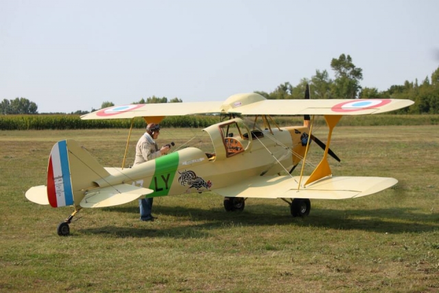  Avión en pista de pasto 