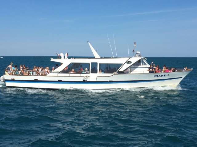  Paseo en barco en Marsella 