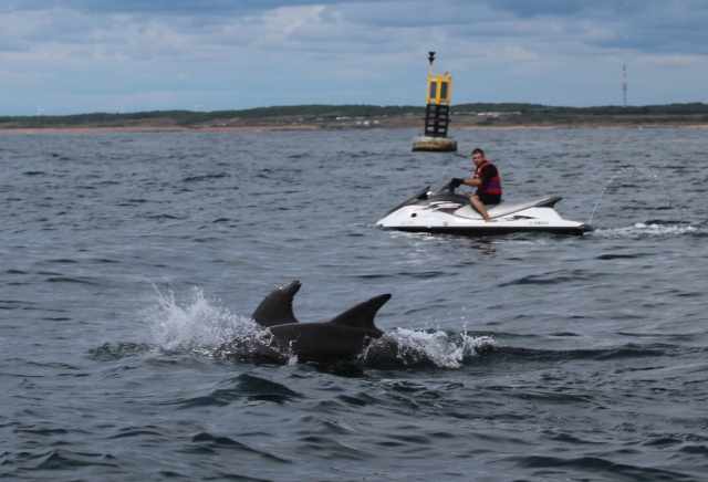  Proximidad con los delfines 