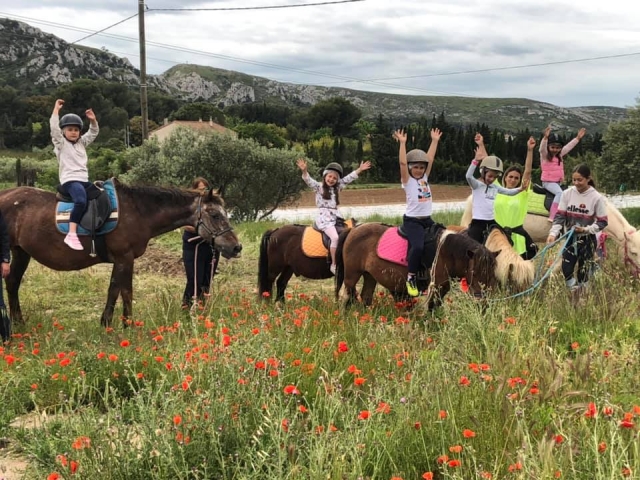  Paseo en pony