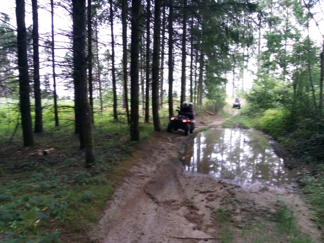  Sendero forestal en cuatrimoto 