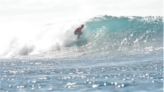  Dominio de la disciplina del surf 
