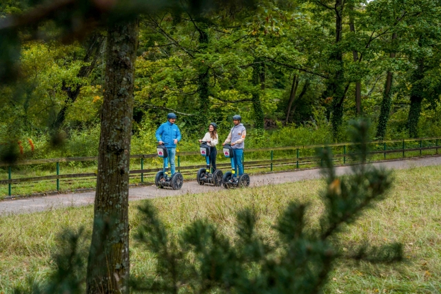  Tour de Segway en el parque del parque del parque del parque del parque del parque del parque del parque del parque del parque Cabeza 