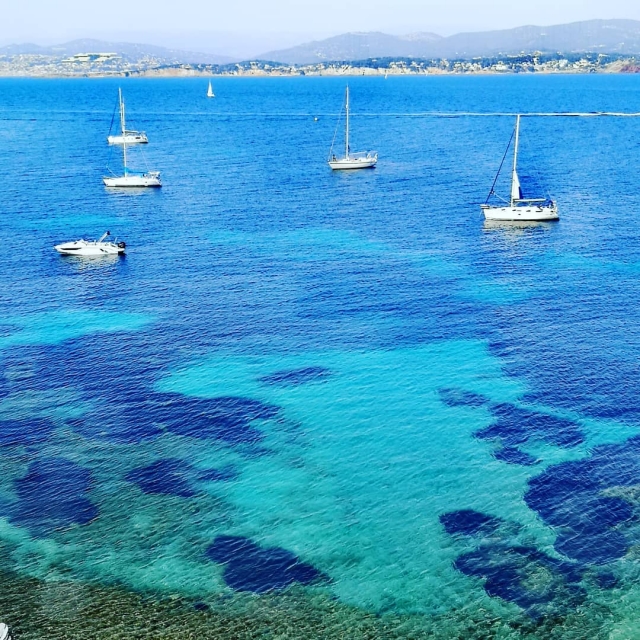 Excursión en el mar 