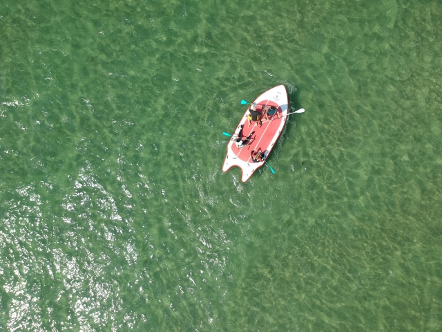  Navegando en un remo giganle 