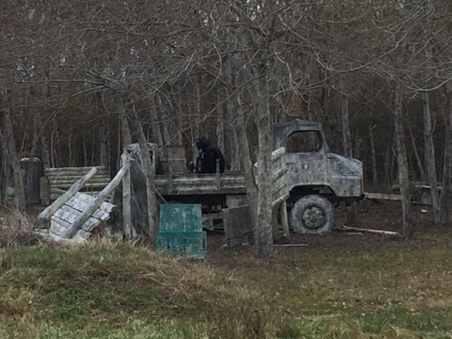  Una zona ajardinada 