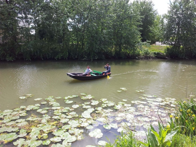  Barco tradicional en el Marais Poitevin 