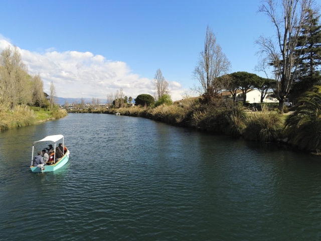  Paseo matutino. 