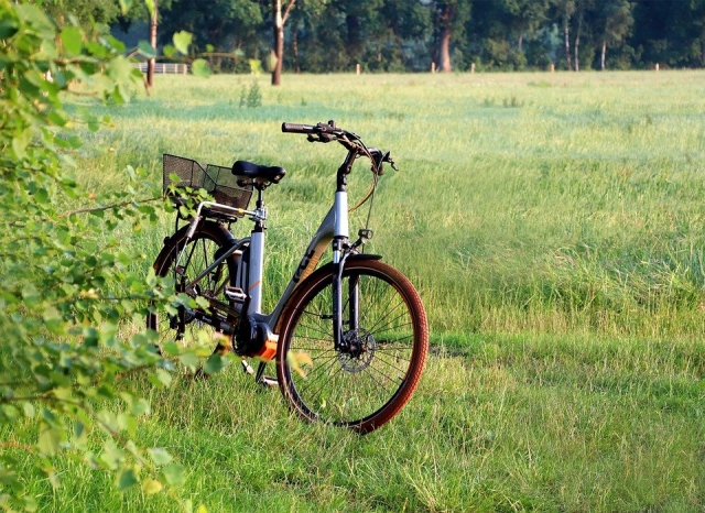  E-bike en el campo 