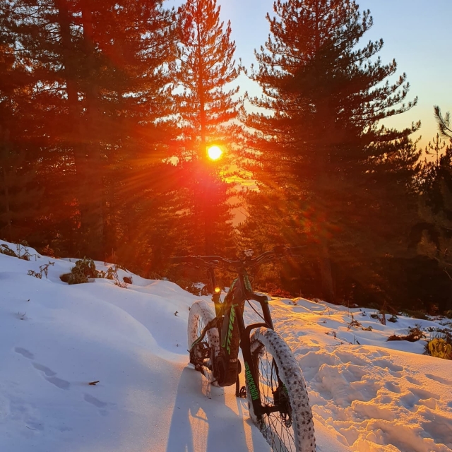  Puesta de sol bajo la nieve 
