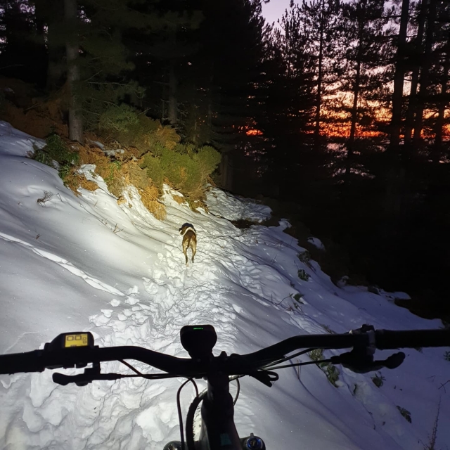  Bicicleta nocturna en la nieve con un perro 