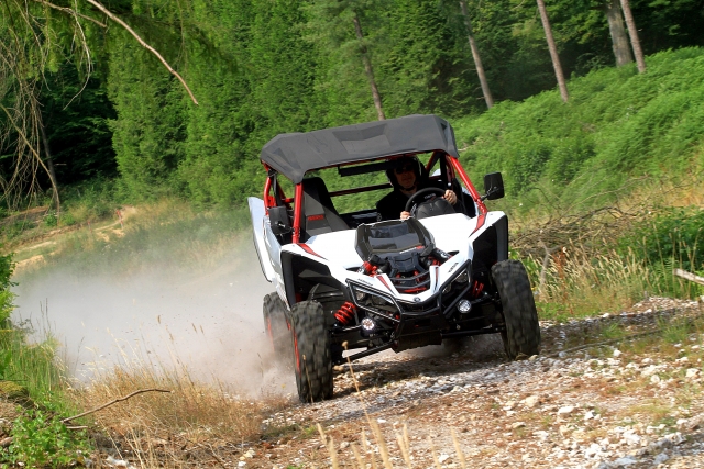  ¡Buggy duro! 