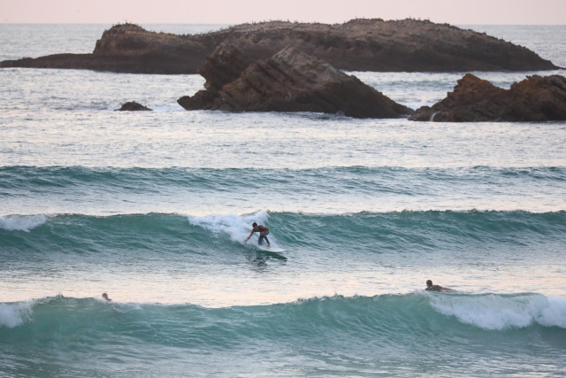 Mahi Mahi Surf School