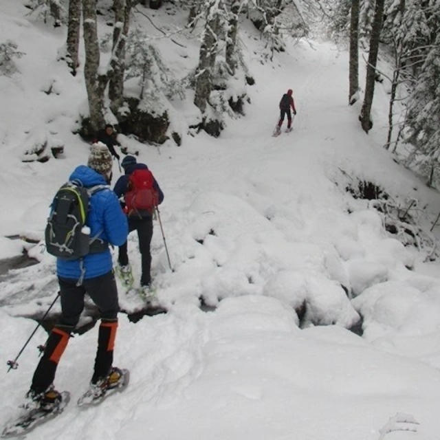  Raquetas de nieve 