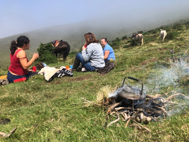 ¡Pausa para el almuerzo para el grupo y los caballos! 
