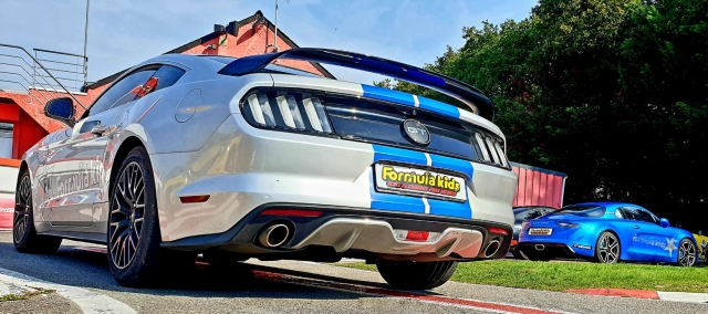  Parle trasera del Ford Mustang gris y azul 